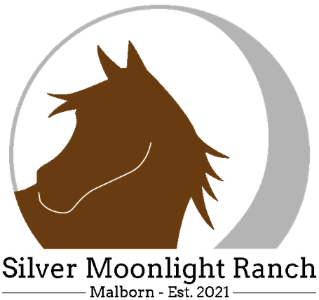 Silver Moonlight Ranch